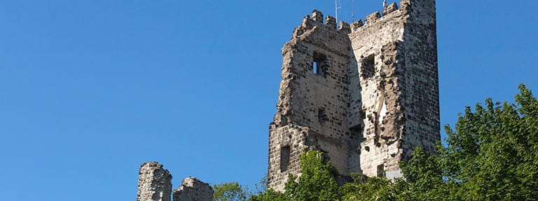 Drachenfels Castle ruins
